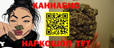молекула духа Донской