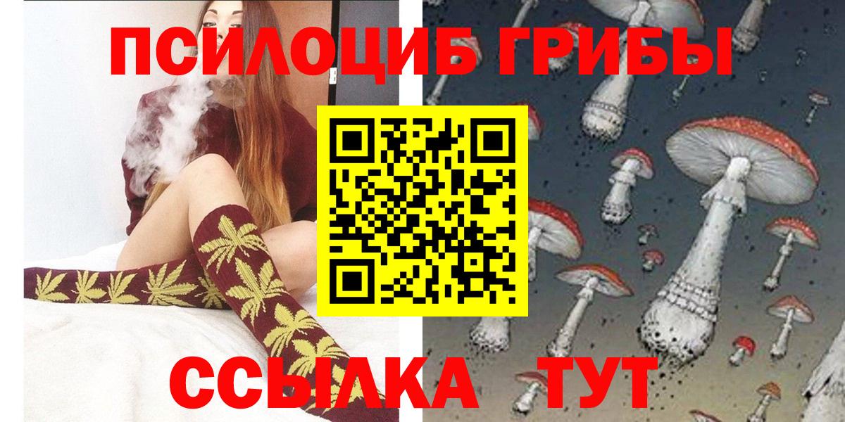 Псилоцибиновые грибы Psilocybe Лянтор