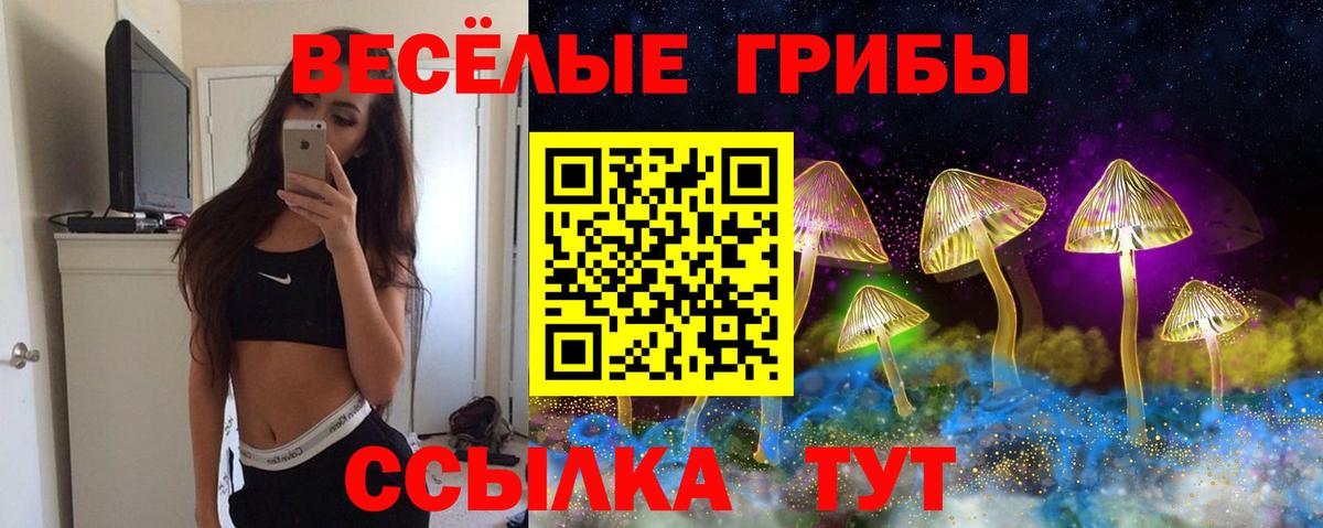 Псилоцибиновые грибы Psilocybe  Вход с VPN  Псилоцибиновые грибы Magic Shrooms  Лянтор 